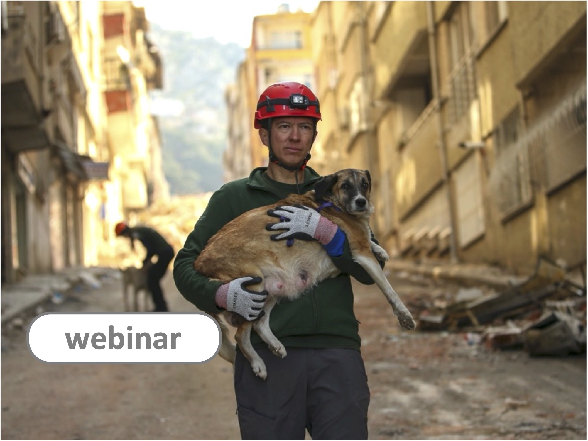 Animals in disasters HWA webinar