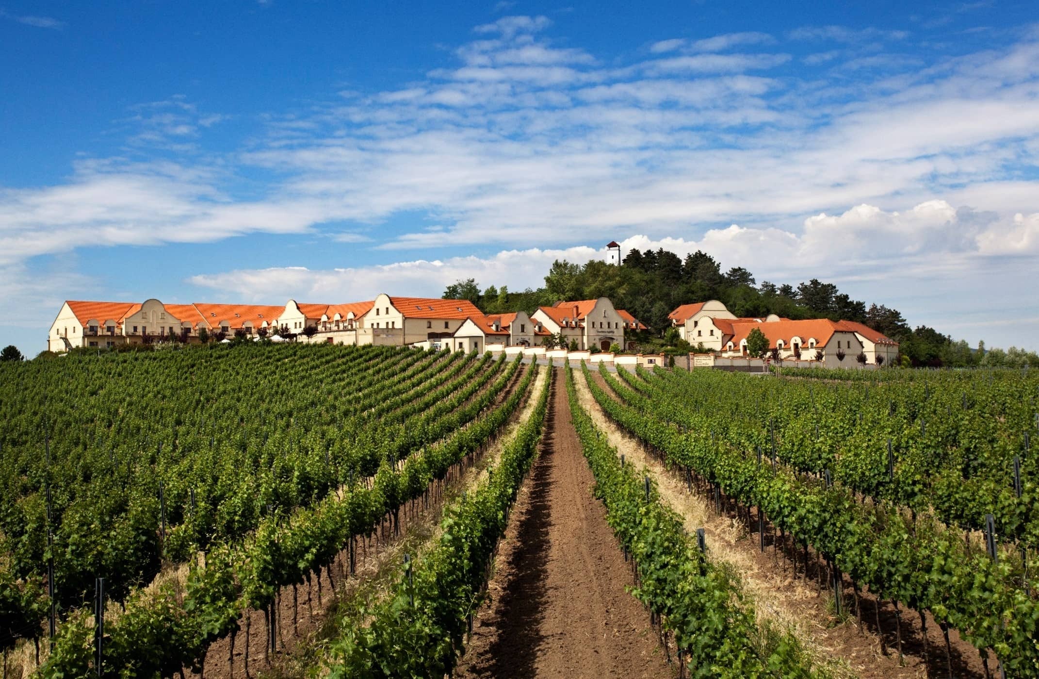 UEVP General Assembly