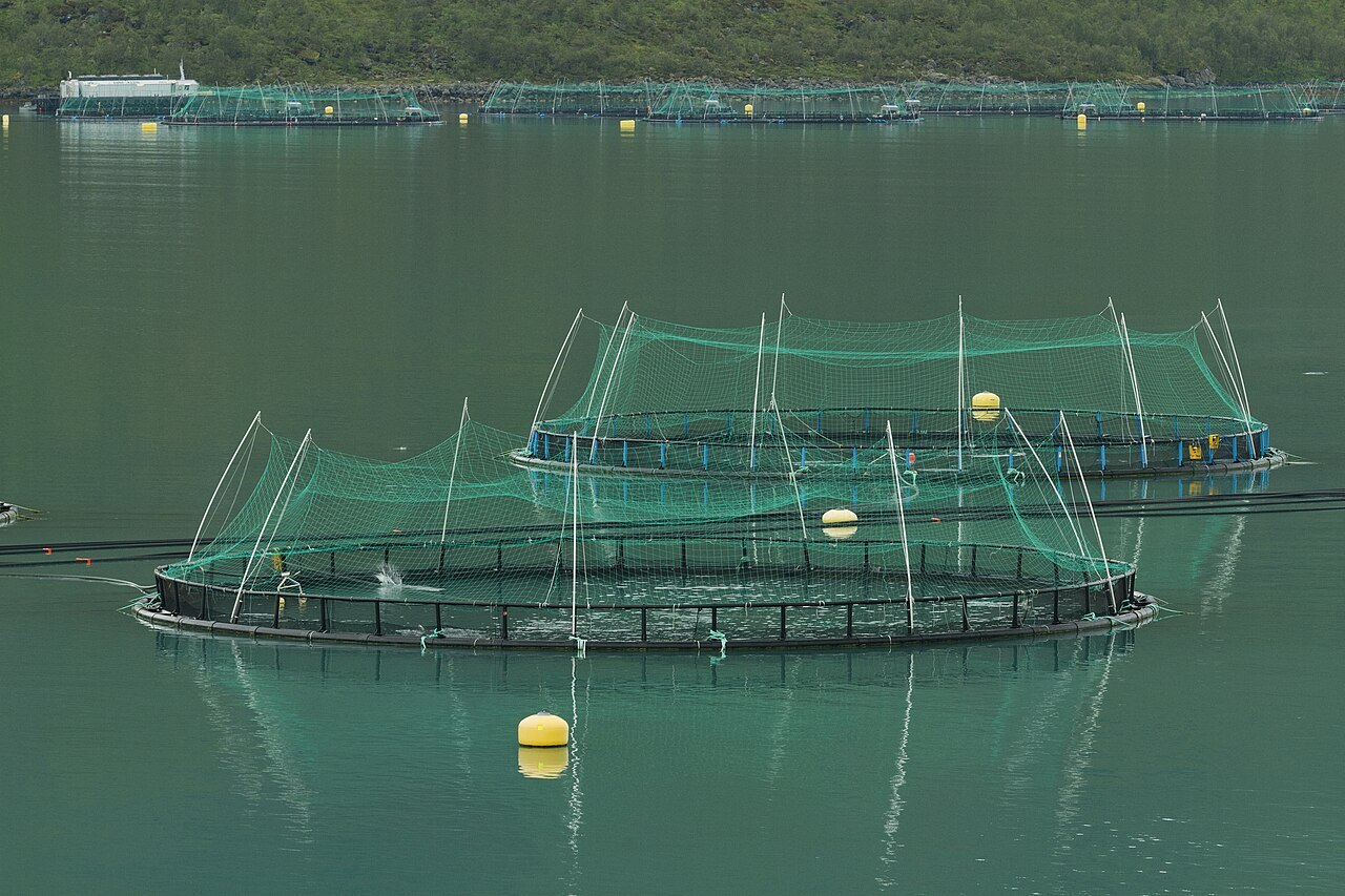 Fish farming in Norway