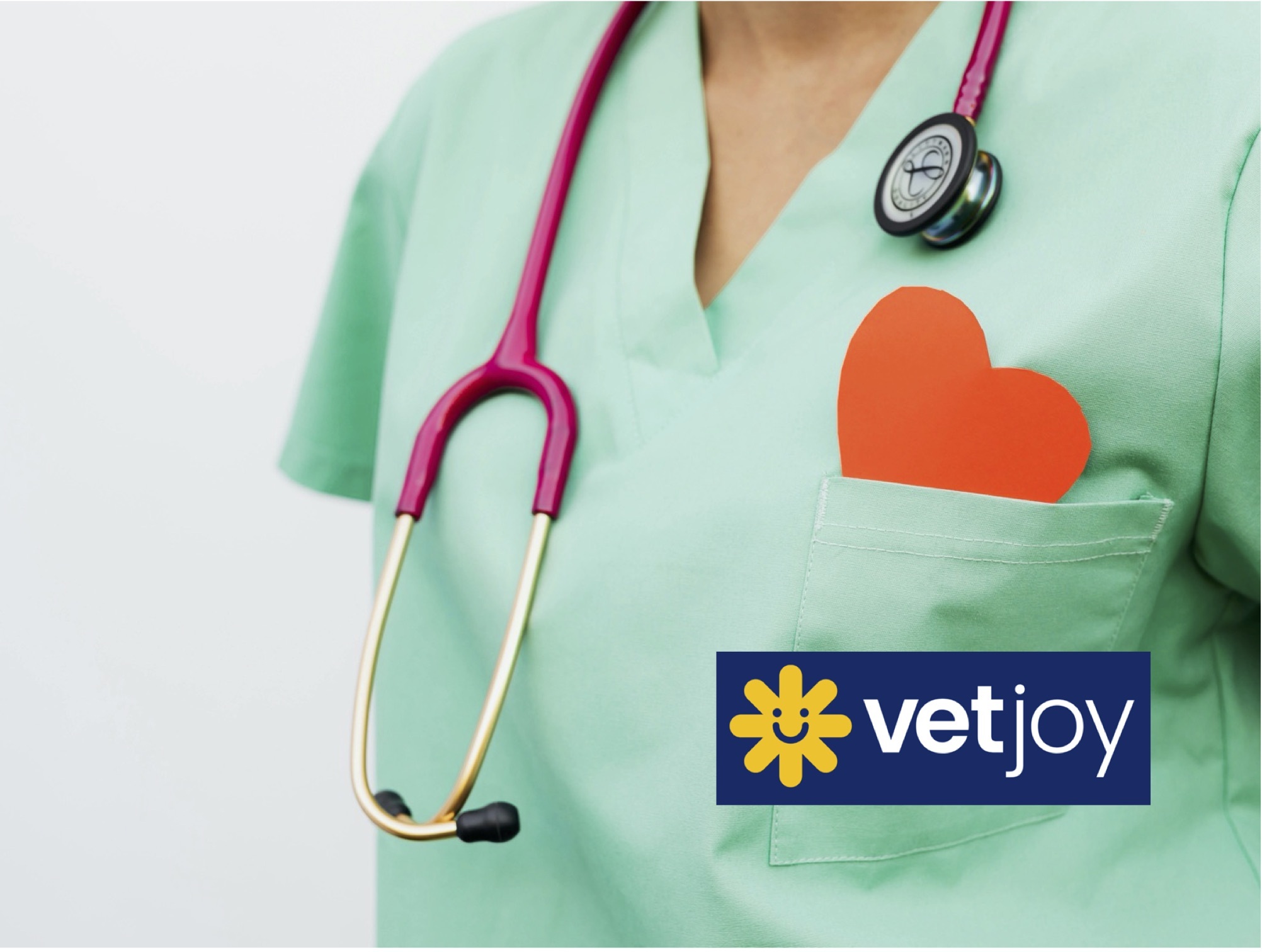 Vet Joy webinars