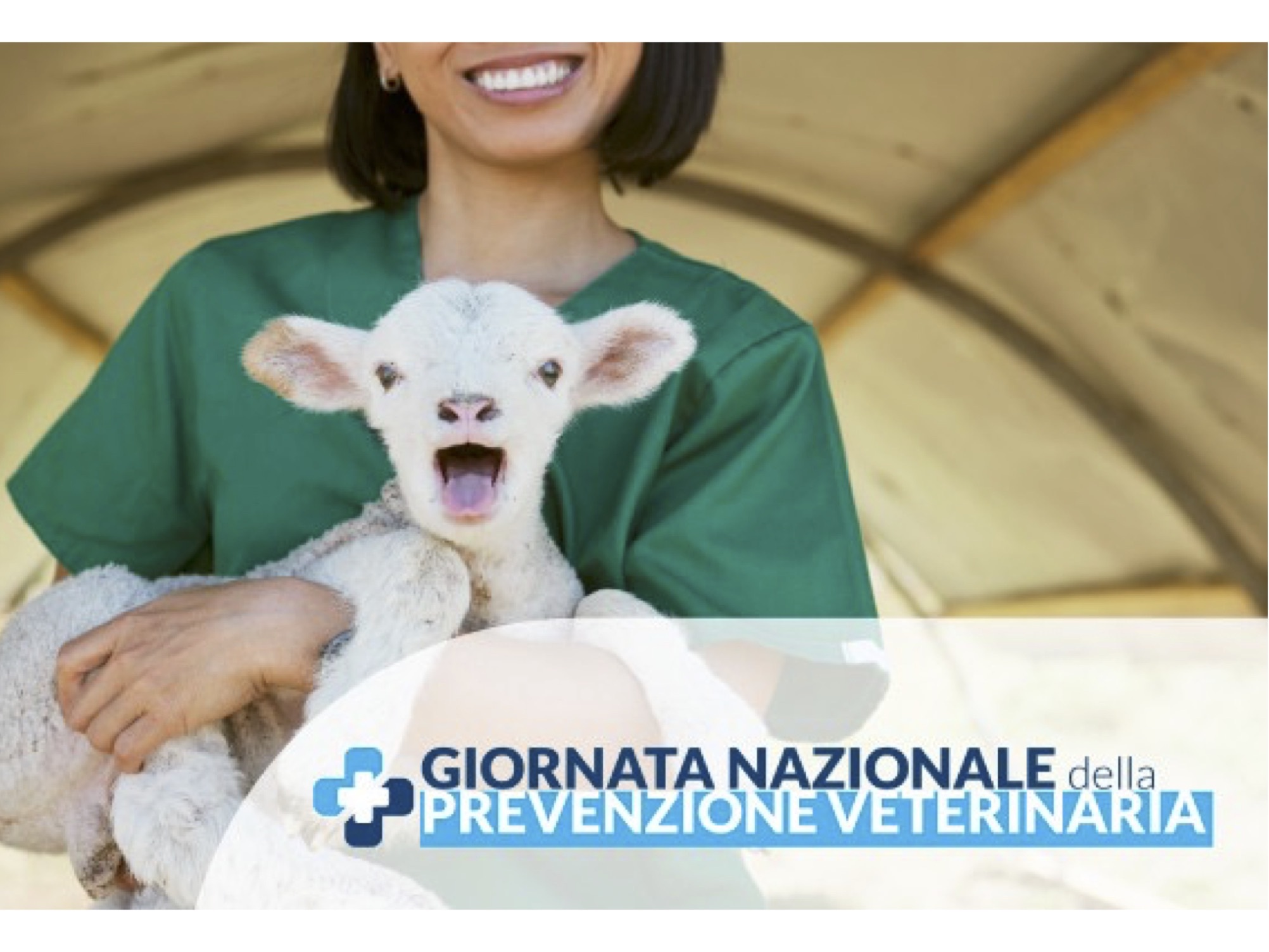 Giornata veterinaria