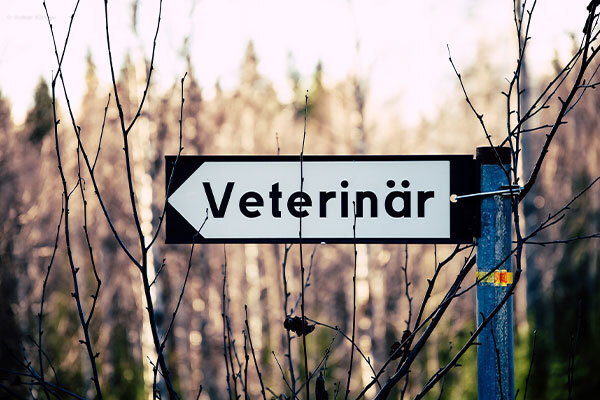 Veterinär sign in Sweden