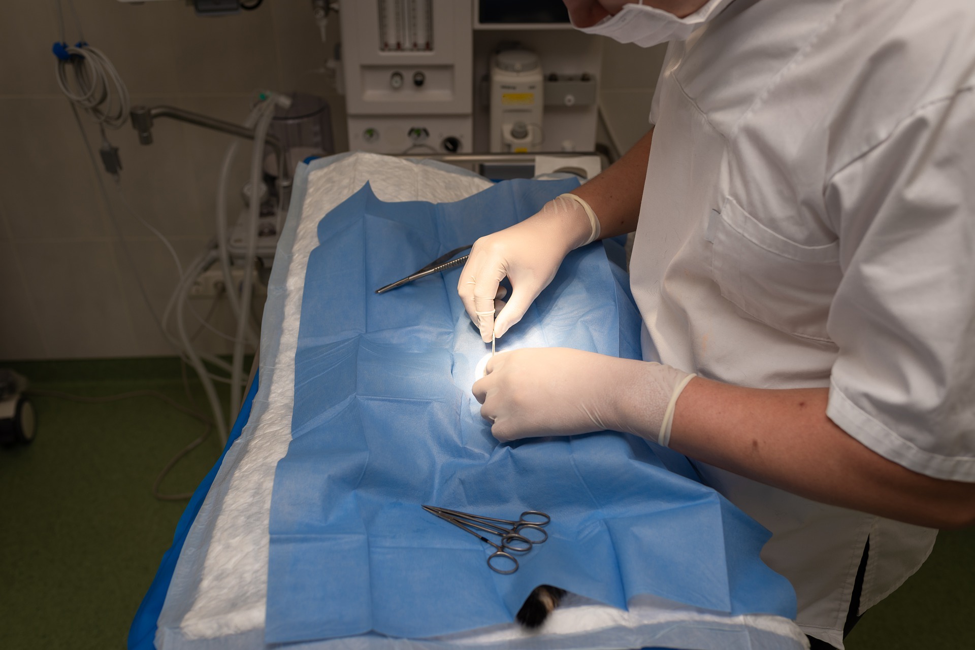 Veterinary professional operating